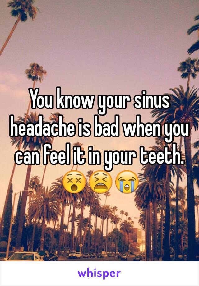 You know your sinus headache is bad when you can feel it in your teeth. 😵😫😭