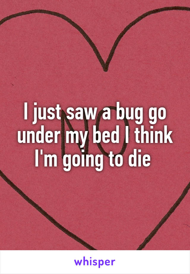 I just saw a bug go under my bed I think I'm going to die 