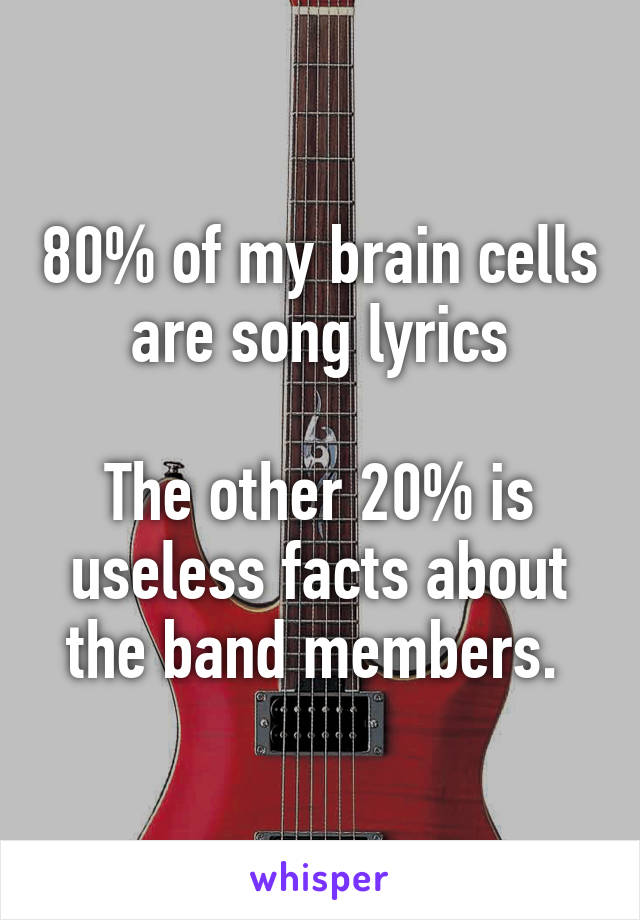 80% of my brain cells are song lyrics

The other 20% is useless facts about the band members. 