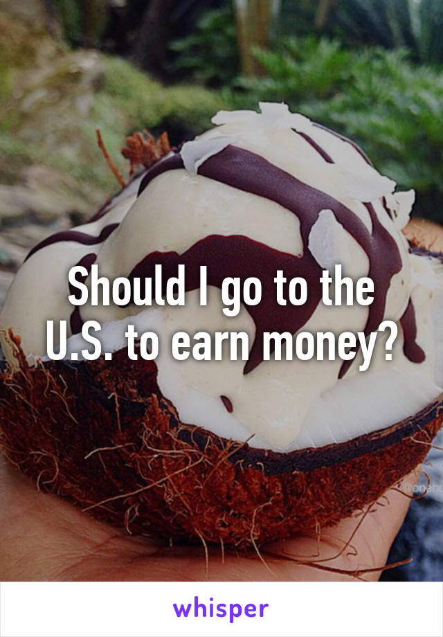 Should I go to the U.S. to earn money?