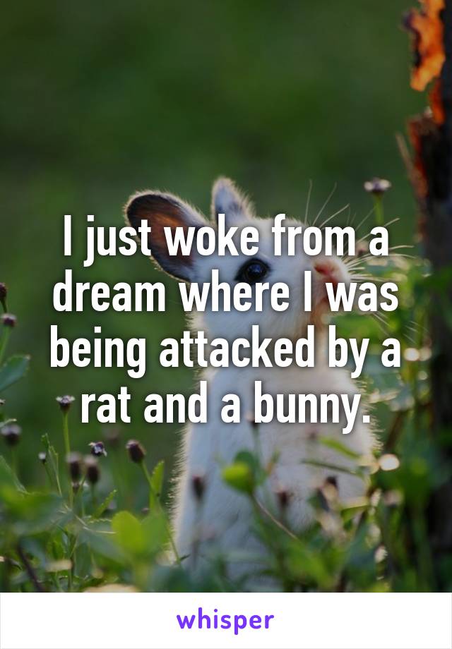 I just woke from a dream where I was being attacked by a rat and a bunny.