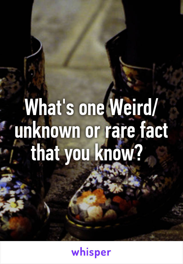What's one Weird/ unknown or rare fact that you know?  