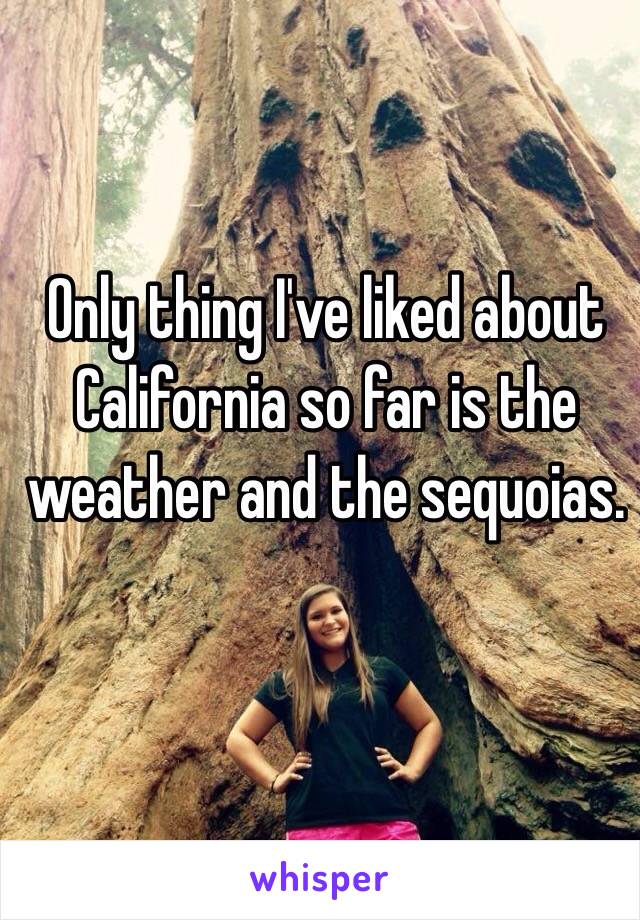 Only thing I've liked about California so far is the weather and the sequoias.
