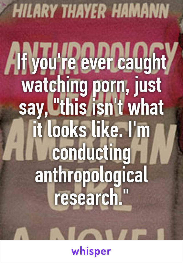 If you're ever caught watching porn, just say, "this isn't what it looks like. I'm conducting anthropological research."