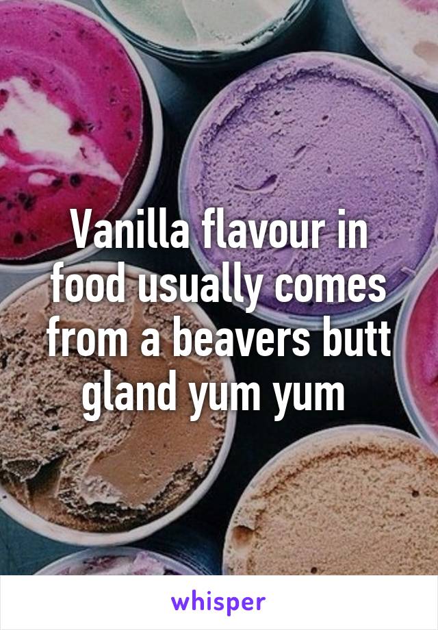 Vanilla flavour in food usually comes from a beavers butt gland yum yum 