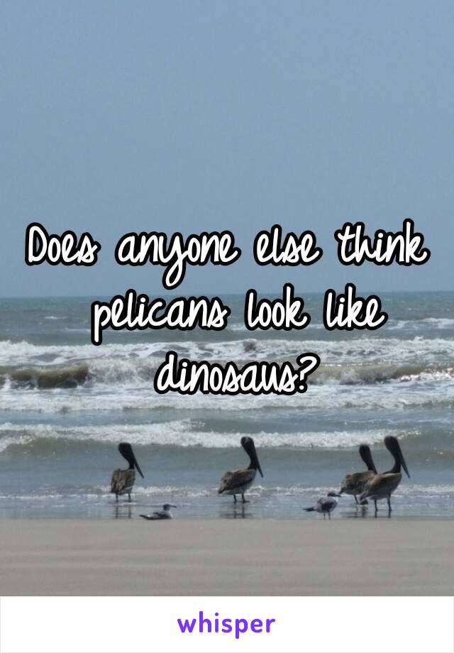 Does anyone else think pelicans look like dinosaus?