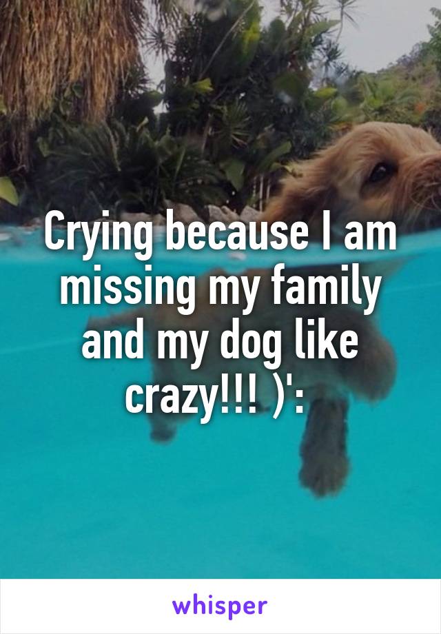 Crying because I am missing my family and my dog like crazy!!! )': 