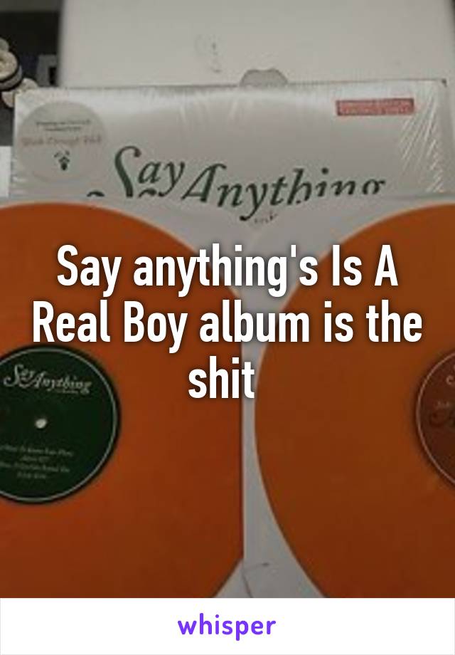 Say anything's Is A Real Boy album is the shit 