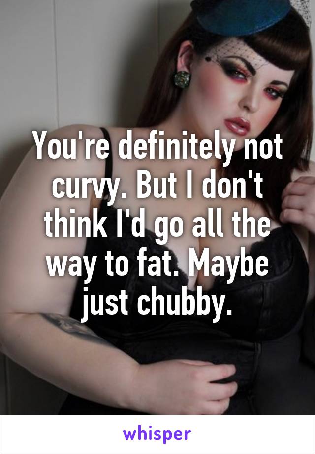 You're definitely not curvy. But I don't think I'd go all the way to fat. Maybe just chubby.