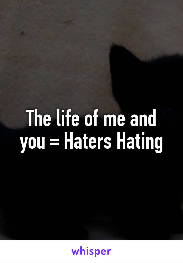 The life of me and you = Haters Hating