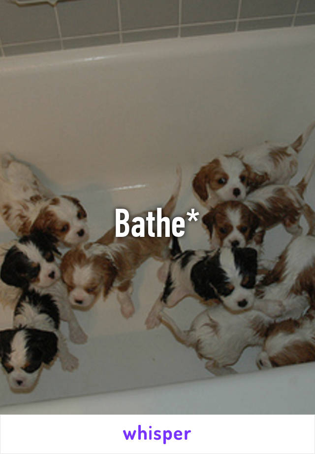 Bathe*