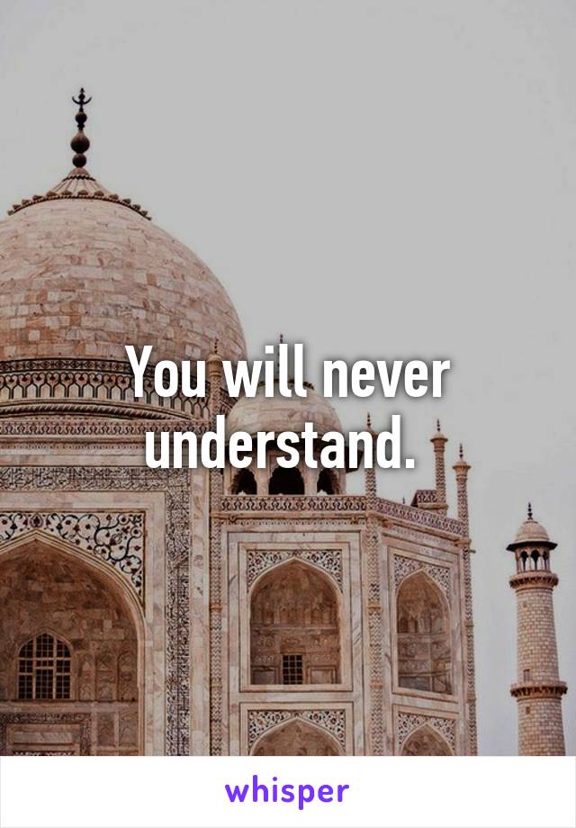 You will never understand. 