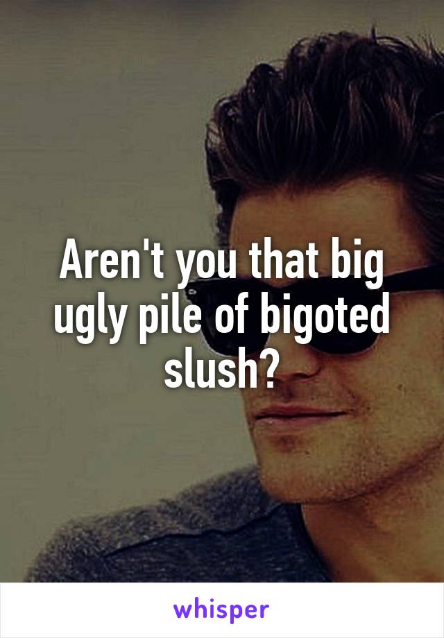Aren't you that big ugly pile of bigoted slush?