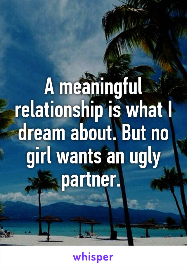 A meaningful relationship is what I dream about. But no girl wants an ugly partner. 