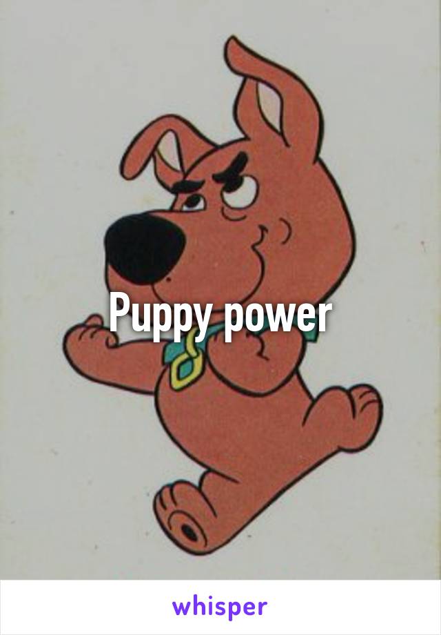 Puppy power