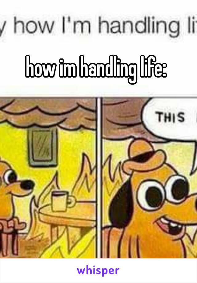 how im handling life: