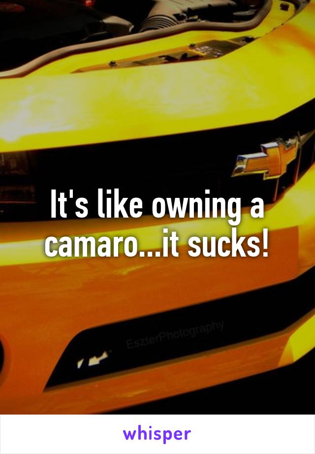 It's like owning a camaro...it sucks!