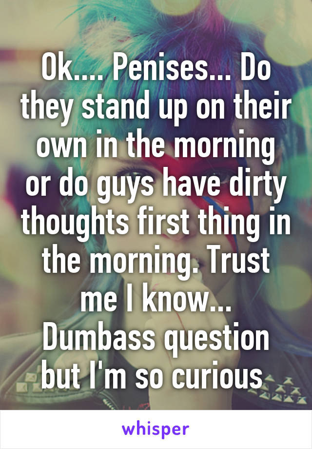 Ok.... Penises... Do they stand up on their own in the morning or do guys have dirty thoughts first thing in the morning. Trust me I know... Dumbass question but I'm so curious 