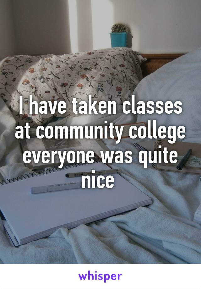 I have taken classes at community college everyone was quite nice 