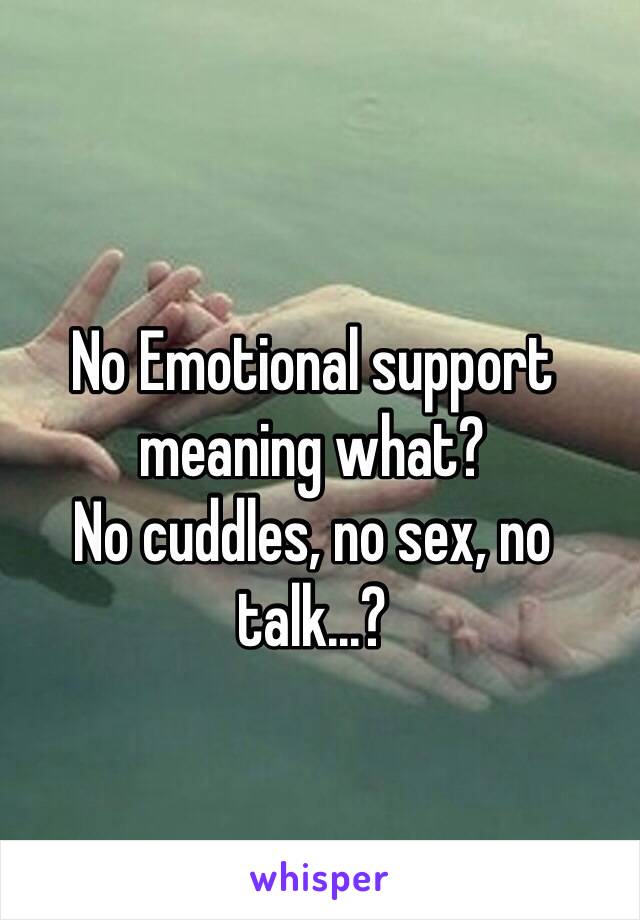 
No Emotional support meaning what?
No cuddles, no sex, no talk...?
