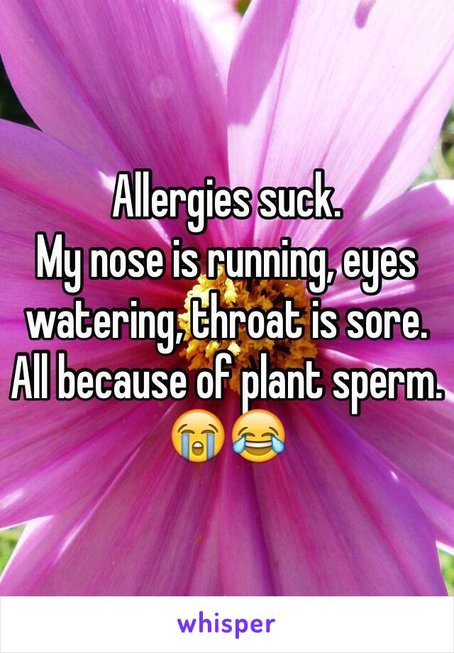 Allergies suck. 
My nose is running, eyes watering, throat is sore. 
All because of plant sperm. 
😭😂