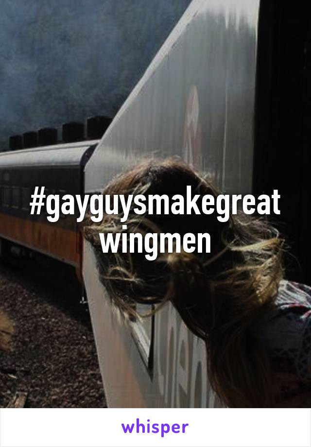 #gayguysmakegreatwingmen