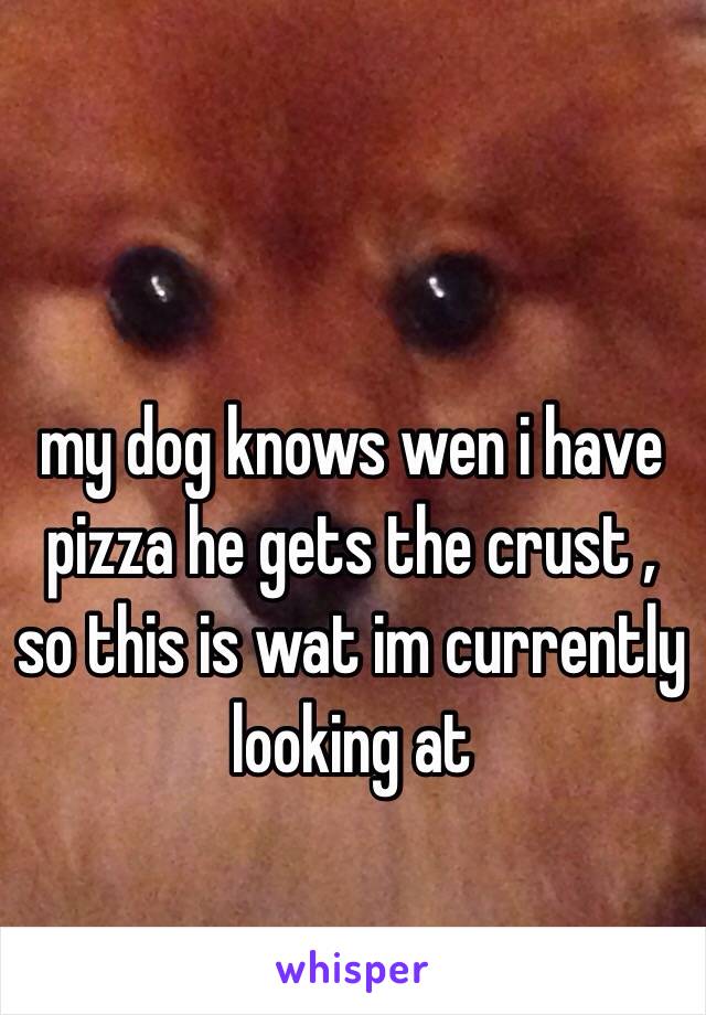 my dog knows wen i have pizza he gets the crust , so this is wat im currently looking at