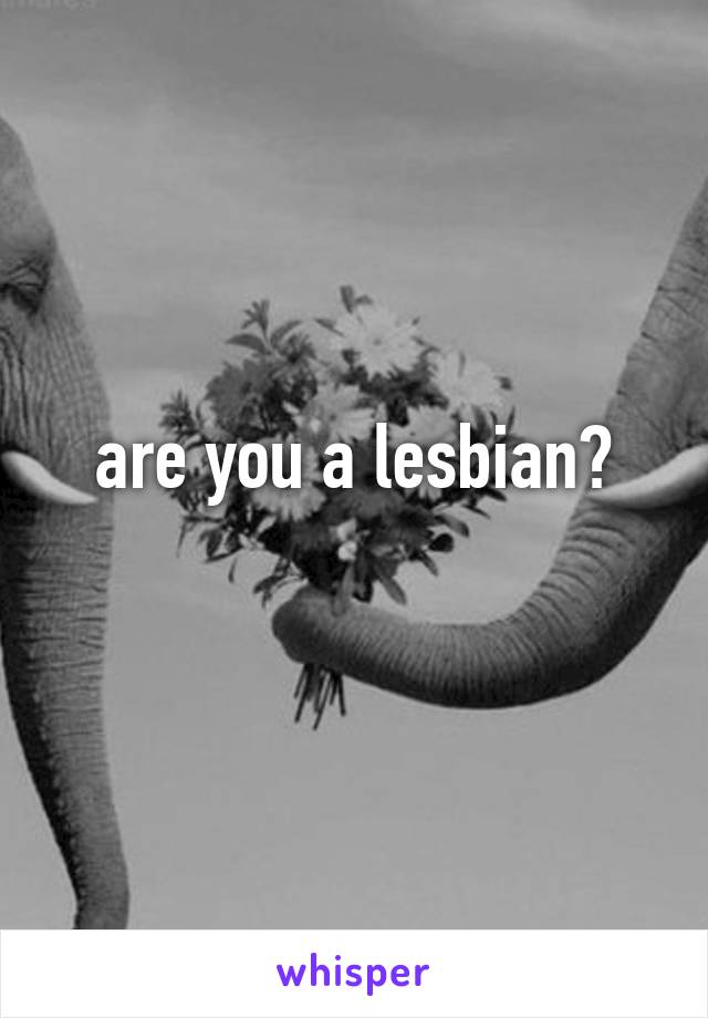 are you a lesbian?
