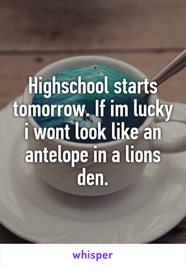 Highschool starts tomorrow. If im lucky i wont look like an antelope in a lions den.