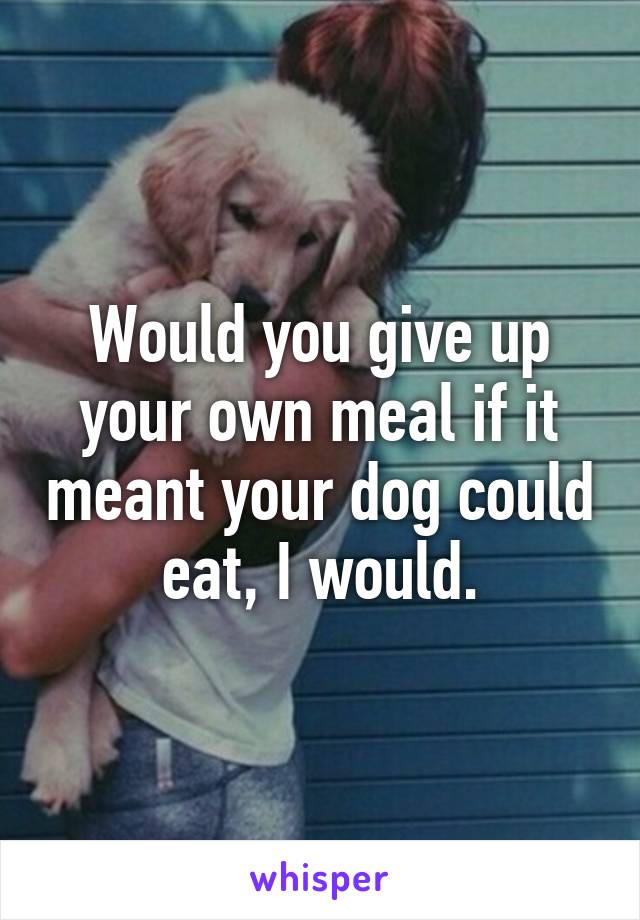 Would you give up your own meal if it meant your dog could eat, I would.