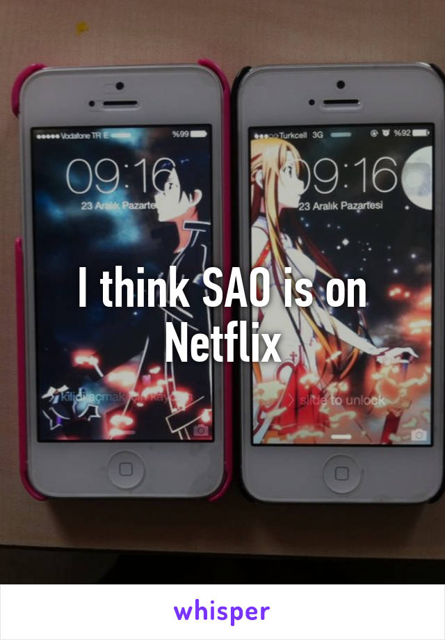 I think SAO is on Netflix