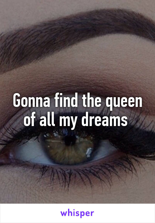 Gonna find the queen of all my dreams 