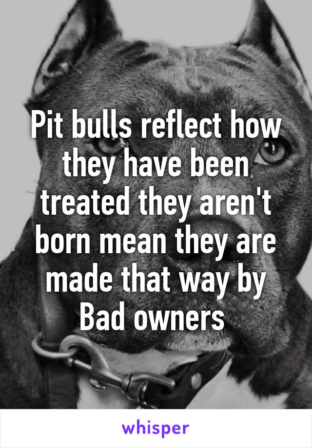 Pit bulls reflect how they have been treated they aren't born mean they are made that way by Bad owners 