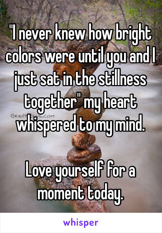 "I never knew how bright colors were until you and I just sat in the stillness together" my heart whispered to my mind.

Love yourself for a moment today. 