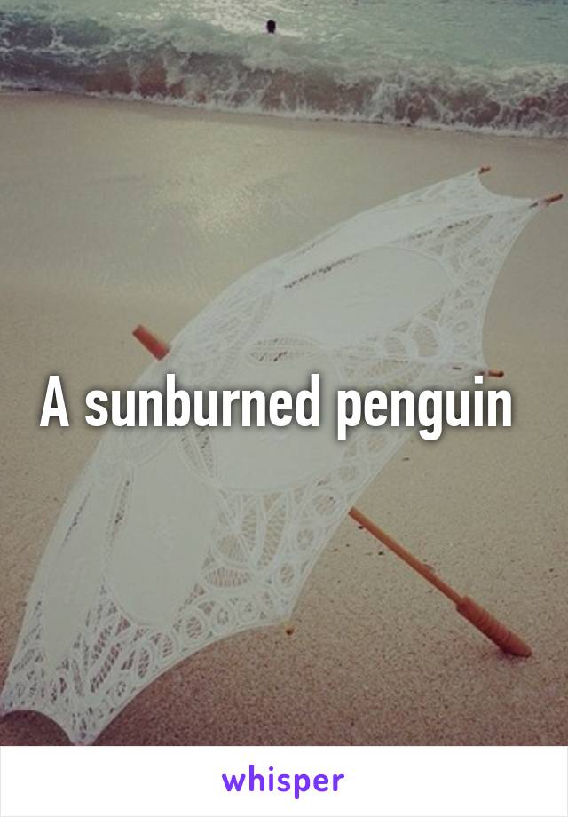 A sunburned penguin 