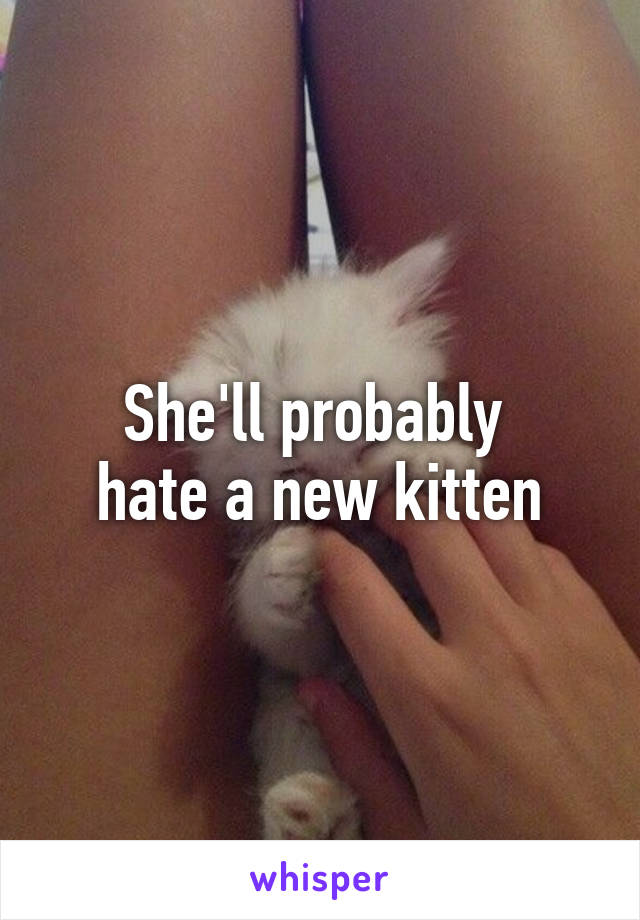 She'll probably 
hate a new kitten