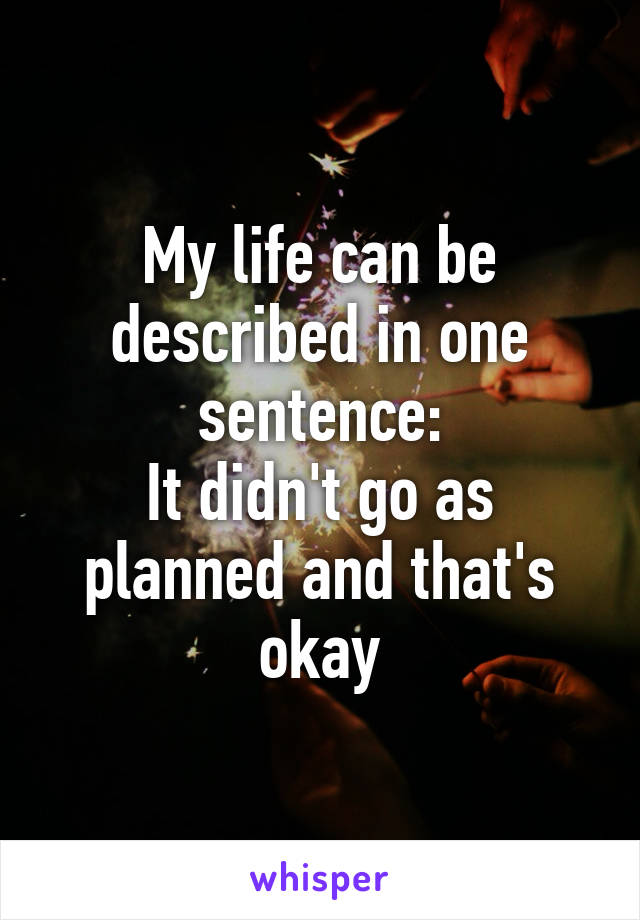 My life can be described in one sentence:
It didn't go as planned and that's okay