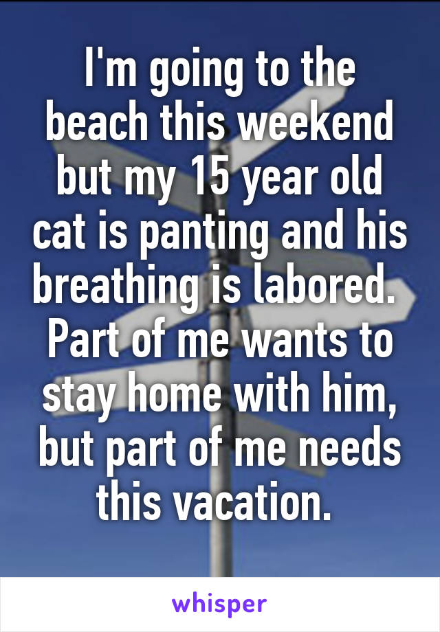 I'm going to the beach this weekend but my 15 year old cat is panting and his breathing is labored. 
Part of me wants to stay home with him, but part of me needs this vacation. 
