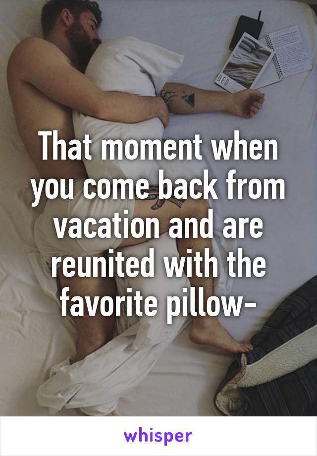 That moment when you come back from vacation and are reunited with the favorite pillow-