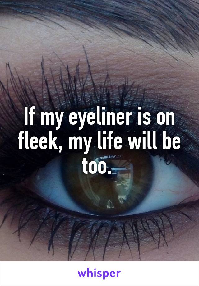 If my eyeliner is on fleek, my life will be too. 