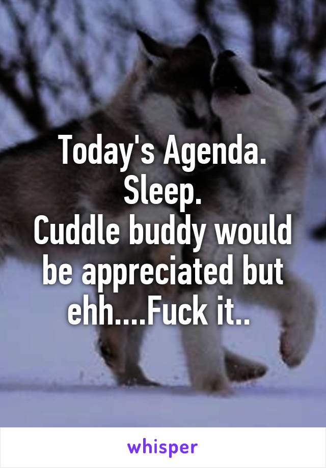 Today's Agenda.
Sleep.
Cuddle buddy would be appreciated but ehh....Fuck it.. 