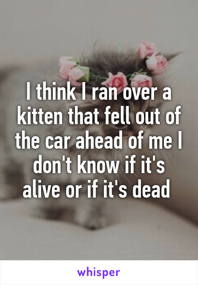 I think I ran over a kitten that fell out of the car ahead of me I don't know if it's alive or if it's dead 