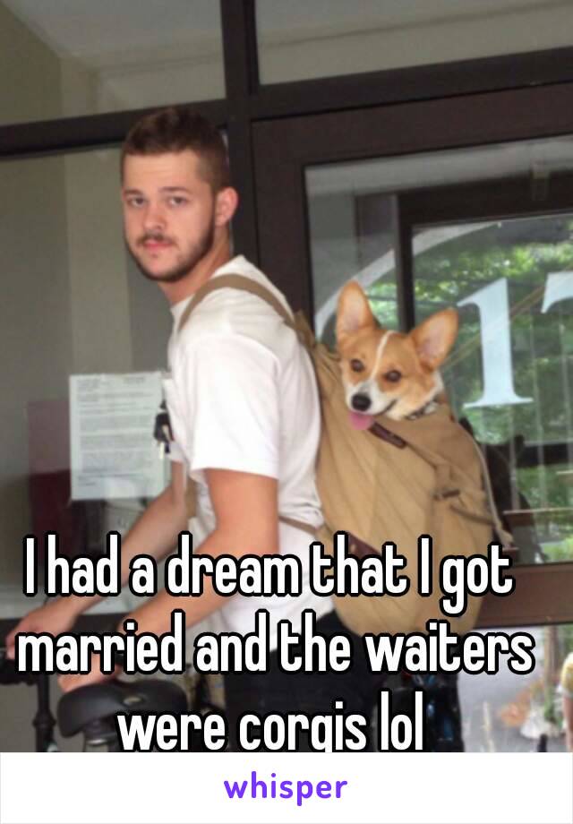 I had a dream that I got married and the waiters were corgis lol 