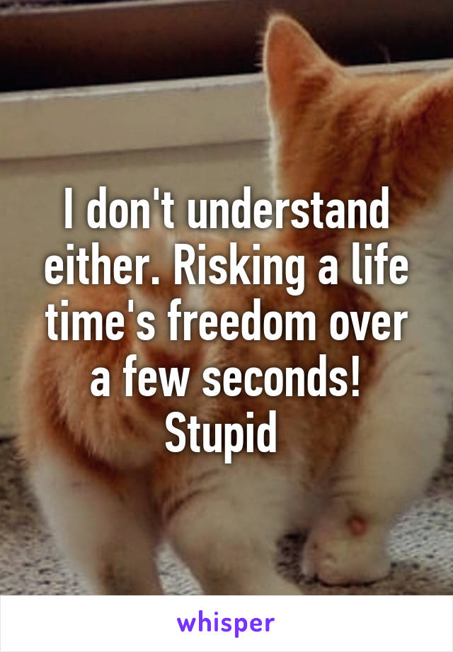 I don't understand either. Risking a life time's freedom over a few seconds! Stupid 