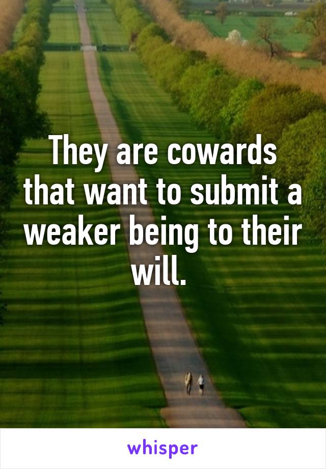 They are cowards that want to submit a weaker being to their will. 
