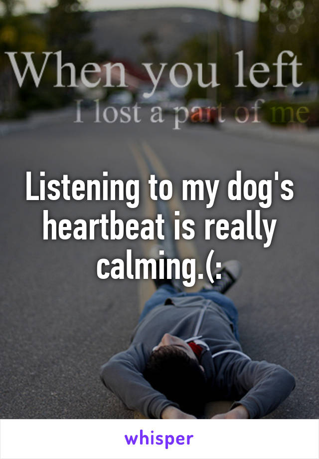 Listening to my dog's heartbeat is really calming.(: