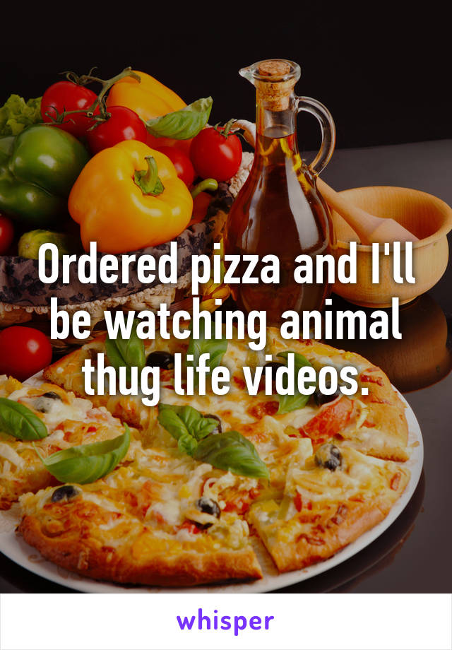 Ordered pizza and I'll be watching animal thug life videos.