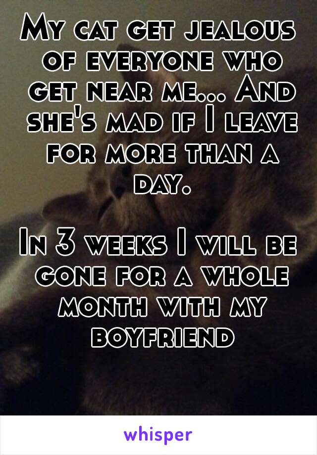 My cat get jealous of everyone who get near me... And she's mad if I leave for more than a day.

In 3 weeks I will be gone for a whole month with my boyfriend