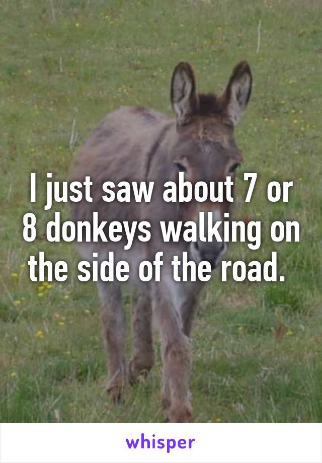 I just saw about 7 or 8 donkeys walking on the side of the road. 