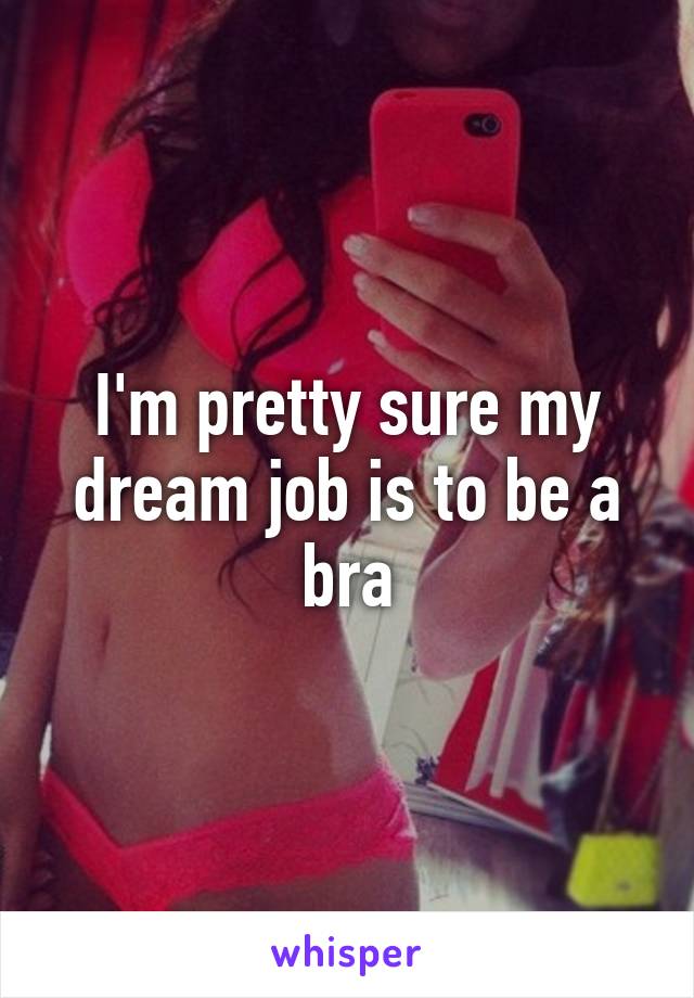 I'm pretty sure my dream job is to be a bra